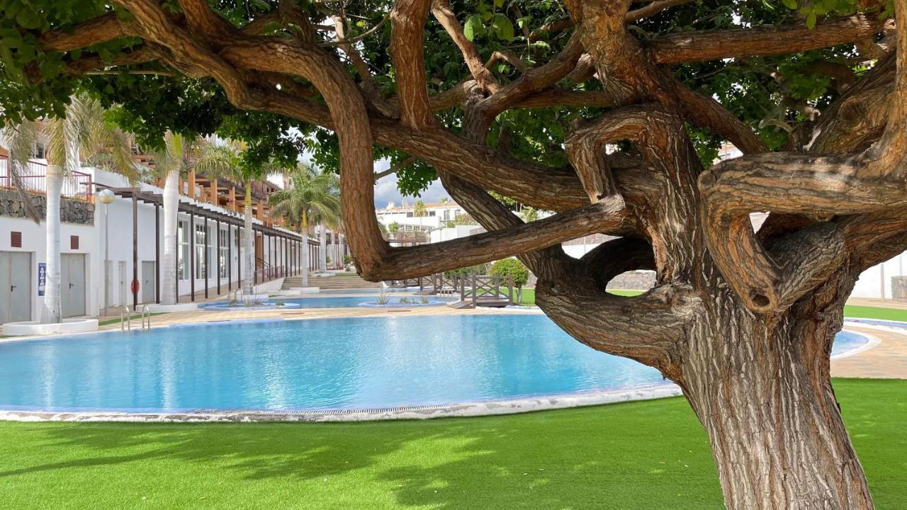 Апартаменты Casa Helen 2 Tenerife Sur Сан Мигель Экстерьер фото